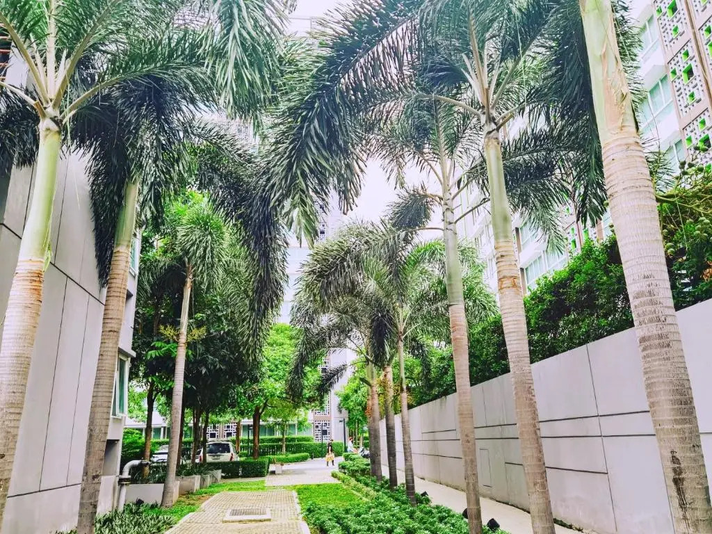Rama9 Cozy Apartment