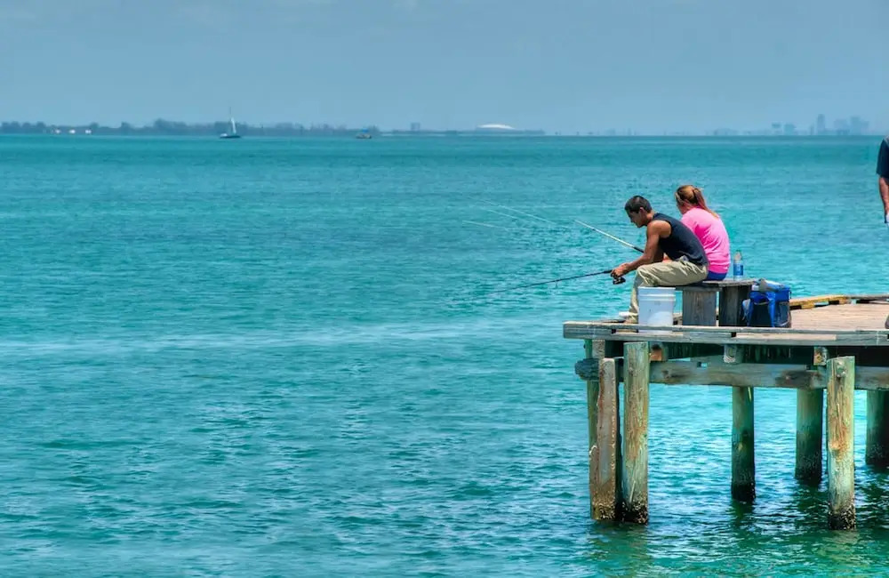 Gulf Front Paradise
