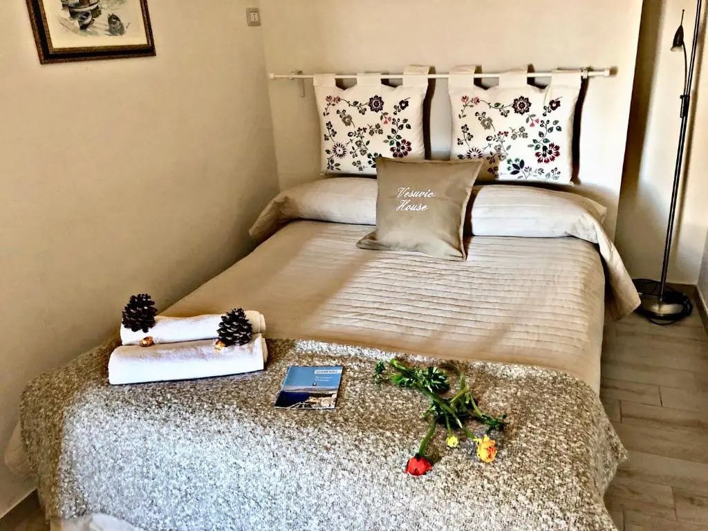 Vesuvio House appartamento indipendente e centrale
