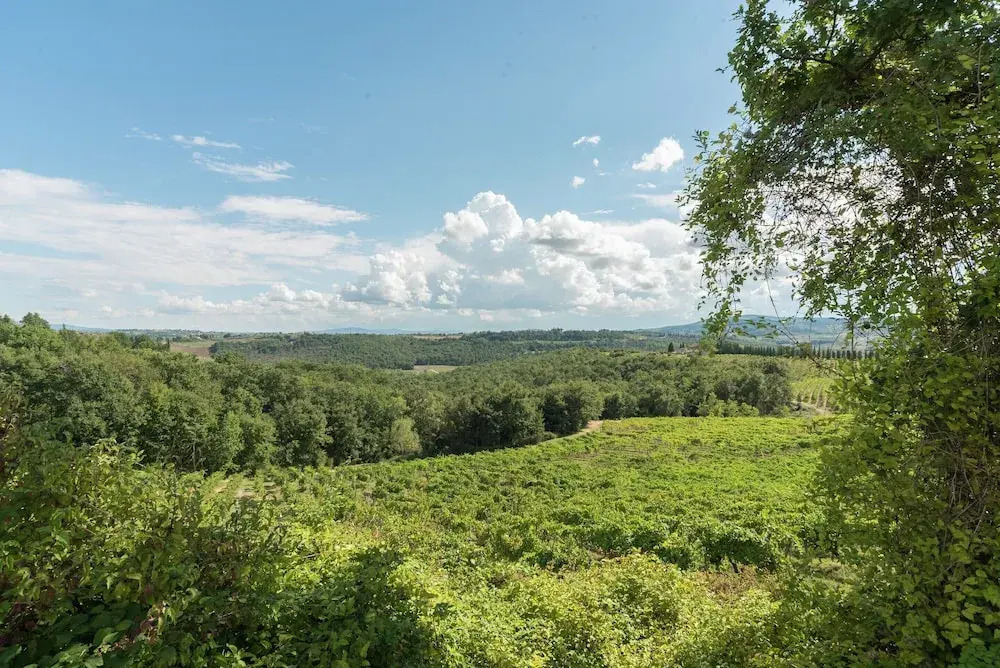 Villa in Tuscany with Pool near Certaldo