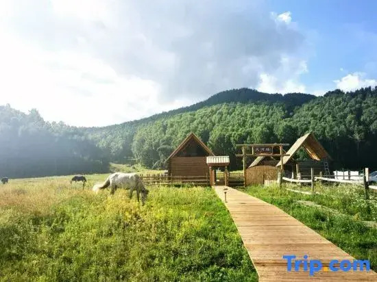 Hemu Tianhe Yuan · Fairy Tale Forest Holiday Homestay (Hemu Scenic Area Hemuqiao Branch)
