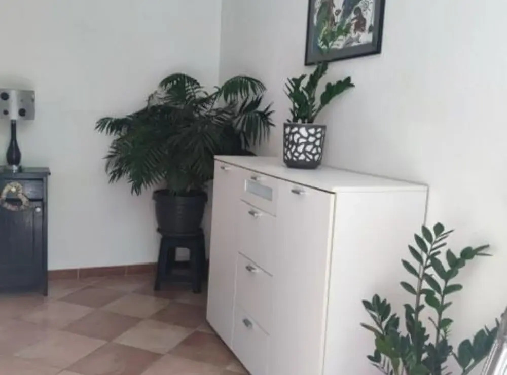 Apartments Villa Mira Roso