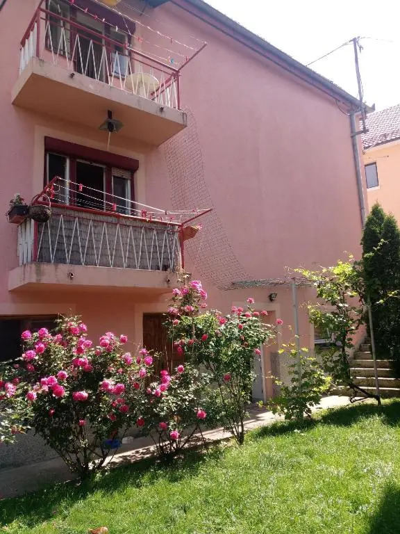 Apartmani Konta