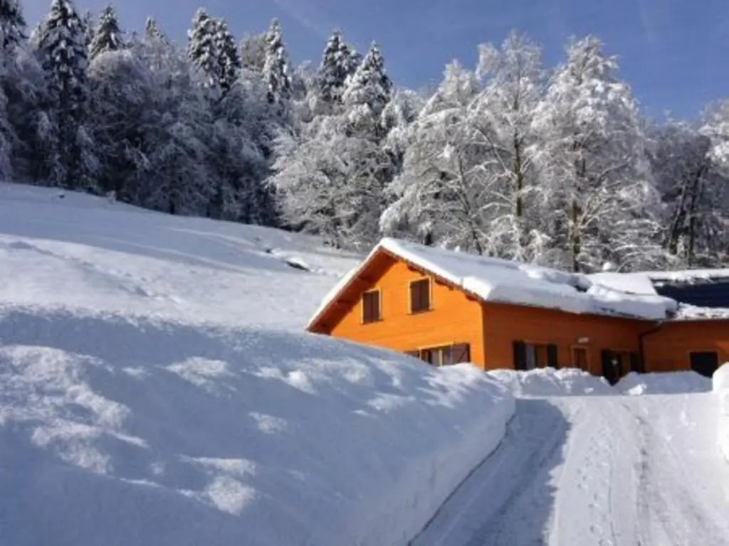 Chalet tout confort avec piscine, terrasse, et sauna privé en montagne - FR-1-589-101