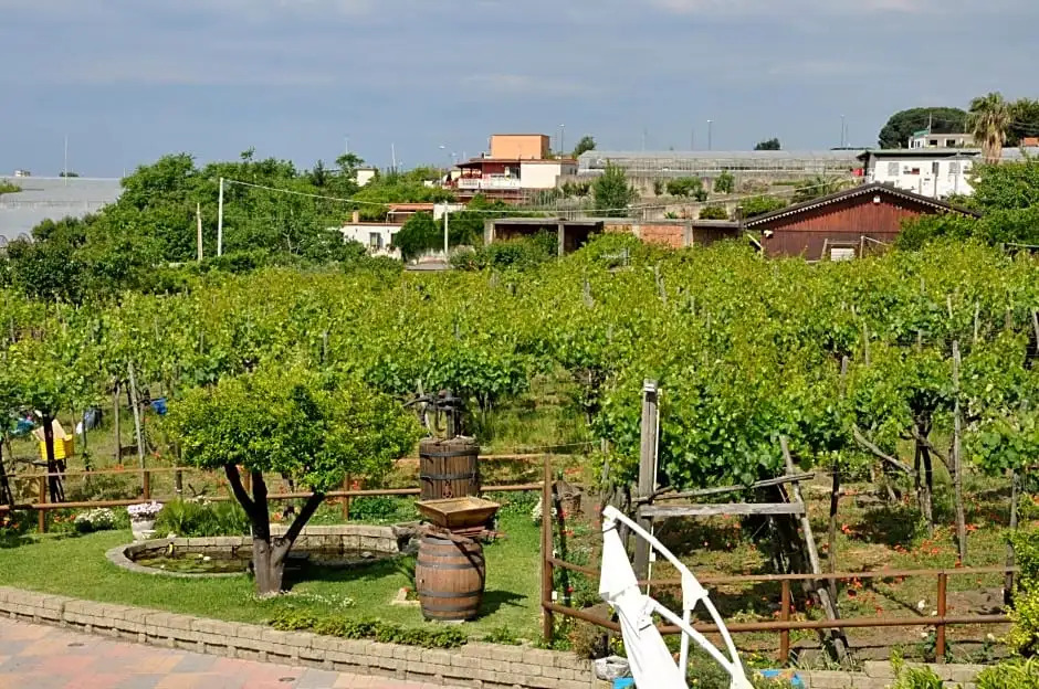 B&B Casa di Donna