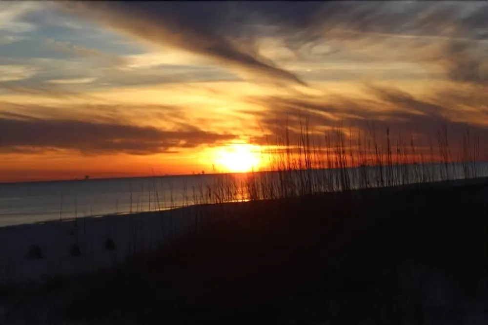 Dunes 703
