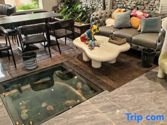 Sanya Haishi Pool Design Homestay (West Island Tourist Scenic Area)