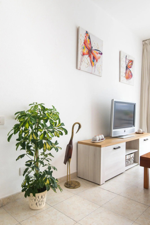 Home2Book Comfy Apt Las Palmas Center Triana