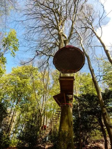 Woody Park