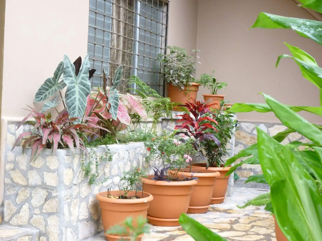 Hotel La Escalinata