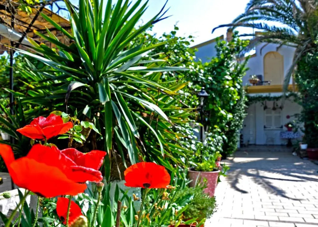 Helens apartments and studios