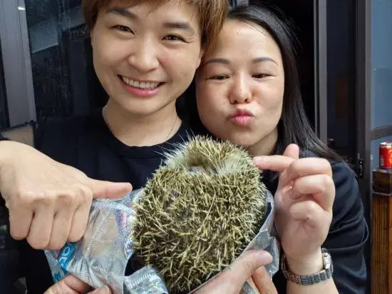Shanghai Liyuan Jiashe Boutique Homestay