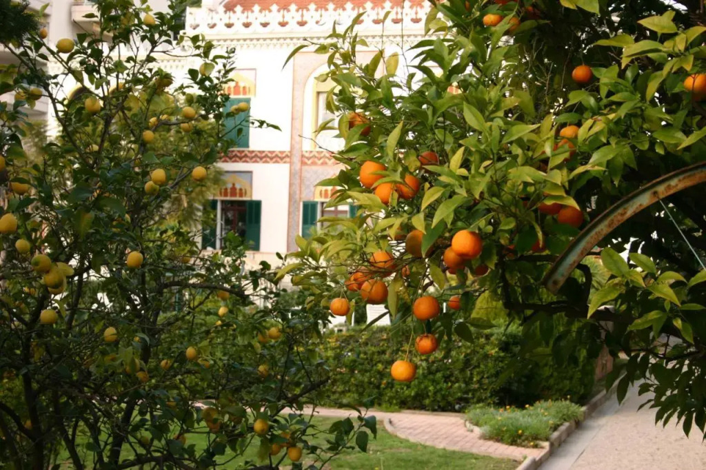 Villa Belle Rive