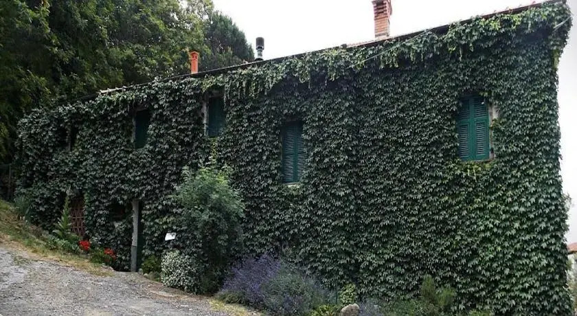 Il Ciliegiolo