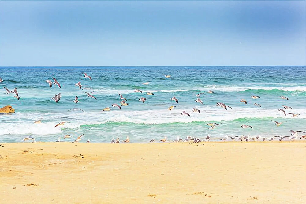 Sokcho Dal Beach Pension