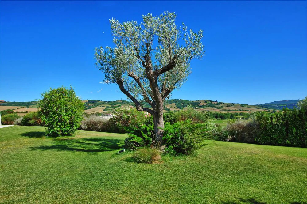Saturnia 9