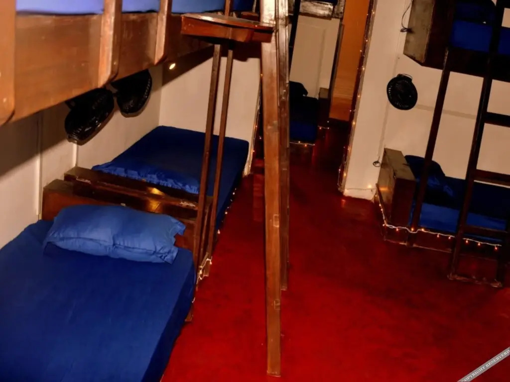 That Crazy Hostel