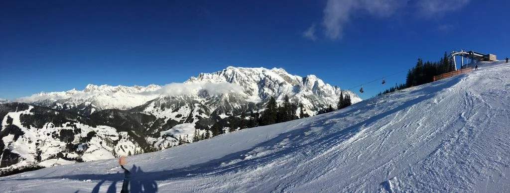 Leni's Mountain Appartements
