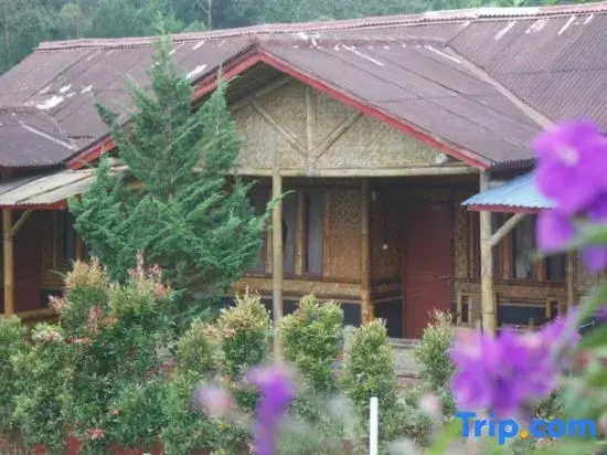 Villa Marindu and Glamping