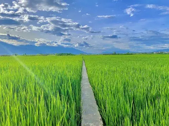 SuYin Designer Countryside Homestay (Erhai Huanhai West Road