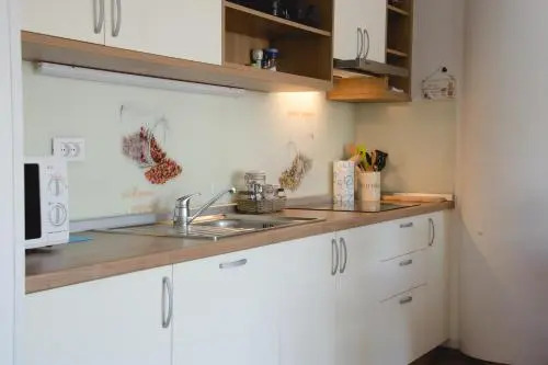 Apartma Planika