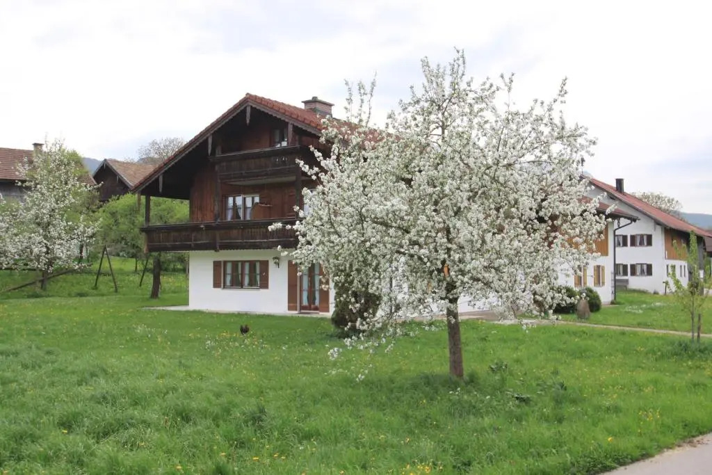 Mayerbauer
