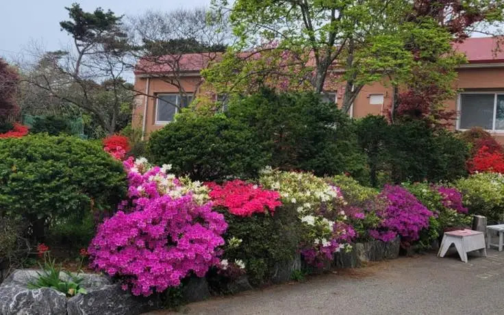 Hotel Miramonti