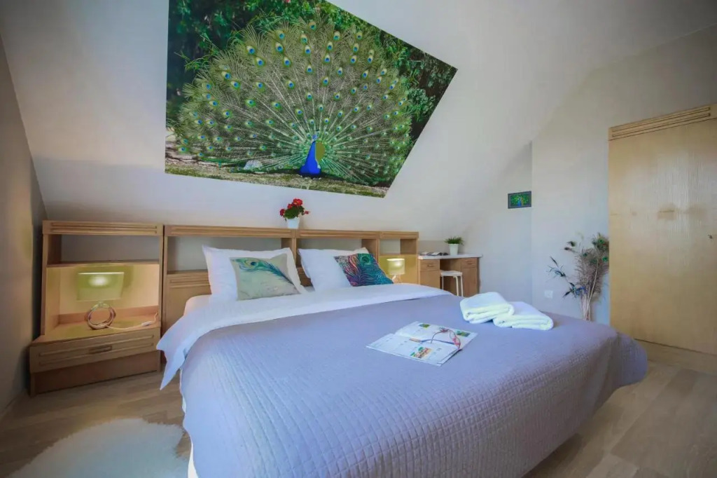 Villa Aviator