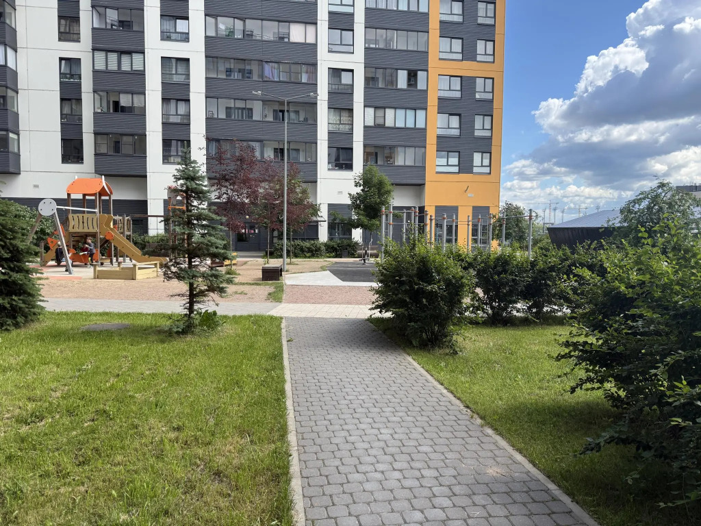 Лавандовое утро в Новоселье
