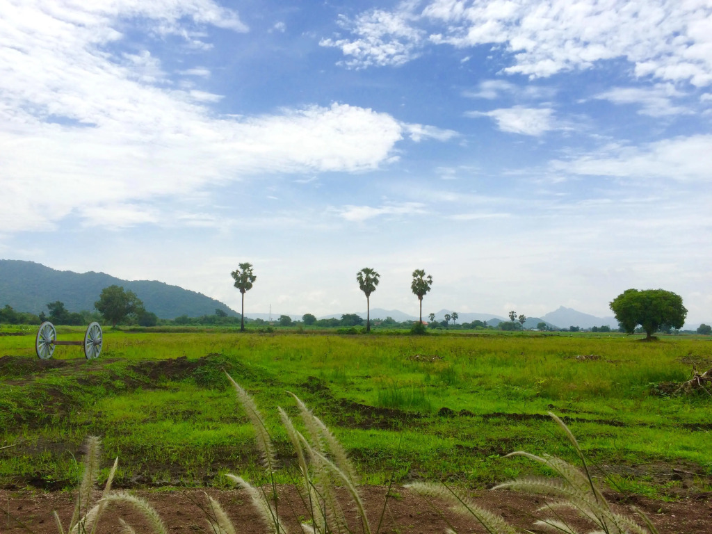 Wanlapa Farmstay