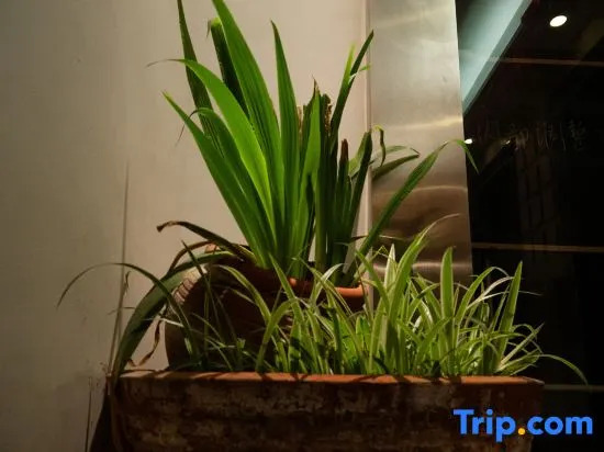 Tiny Spot Hostel
