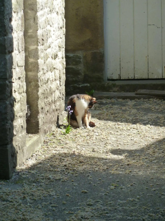 The Old Vicarage B&B