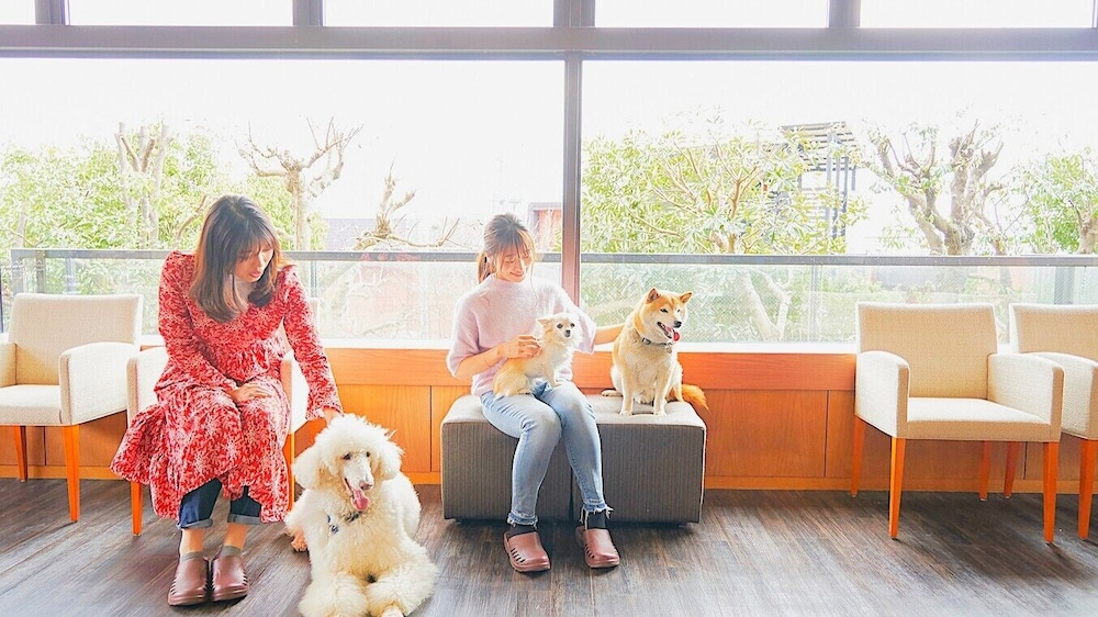 LiVEMAX Resort Izu Kogen Terrace & Spa