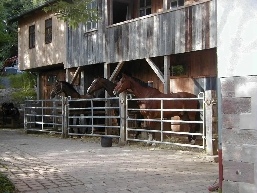 Ferienwohnung in den Dorfwiesen