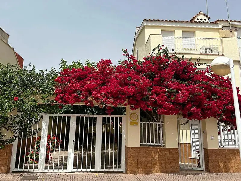 Villas Morro De Gos Oropesa 3000