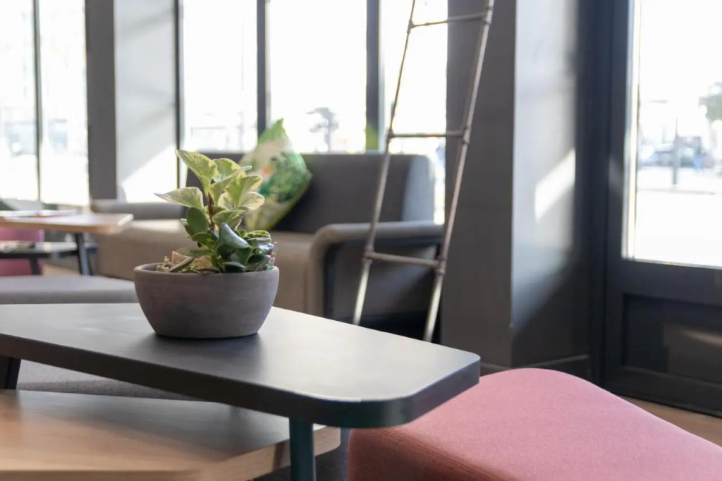 Comfort Hotel Urban City