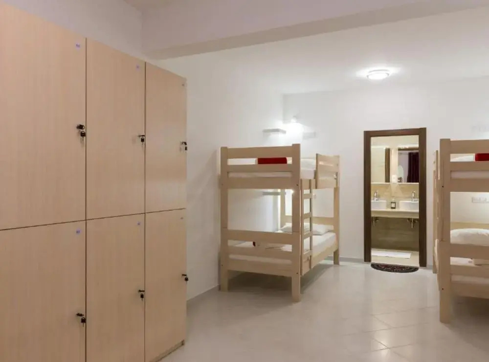 Hostel Free Bird