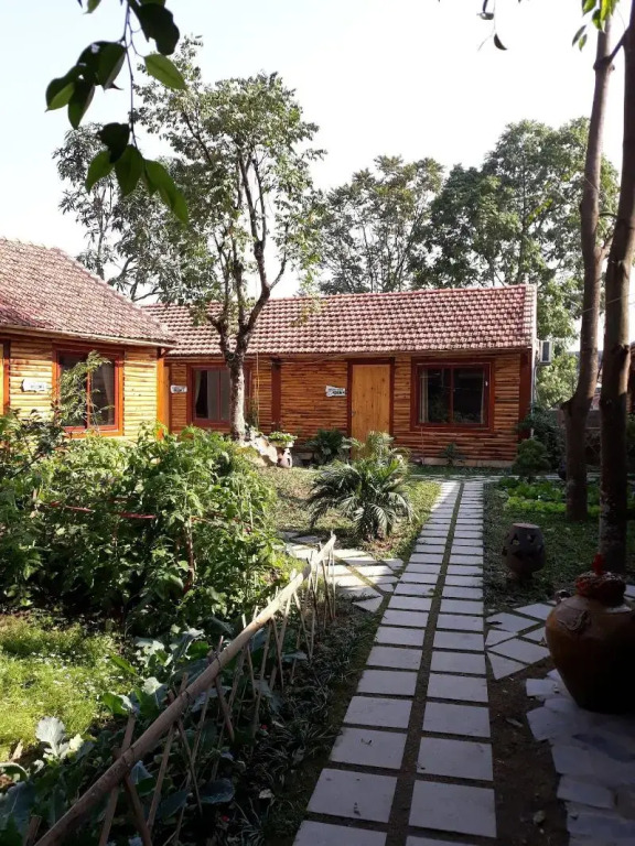 Green Peace Bungalow