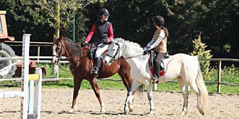 ERKANLI COUNTRY Resort , Spa & Riding Club - Special Class
