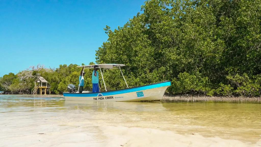 Merry Crab Cove - Après-Safari Beach Hotel