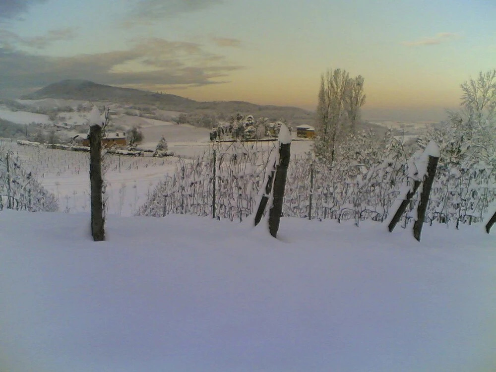 Villa Pallavicini B&B