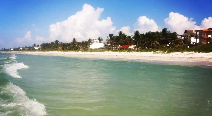 Estudio Kite 2