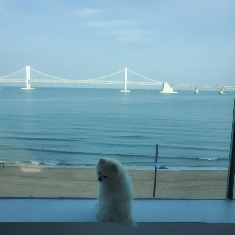 Jstay Penthouse