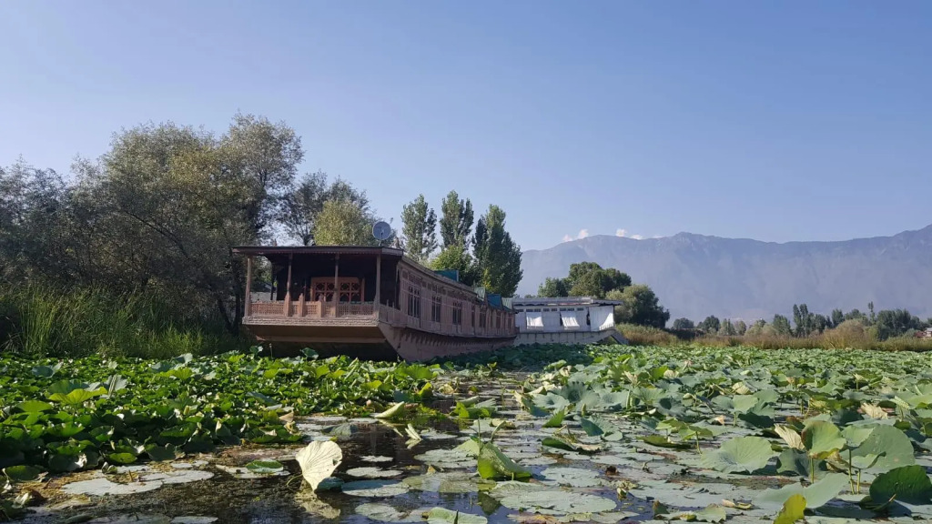 Kings Houseboats