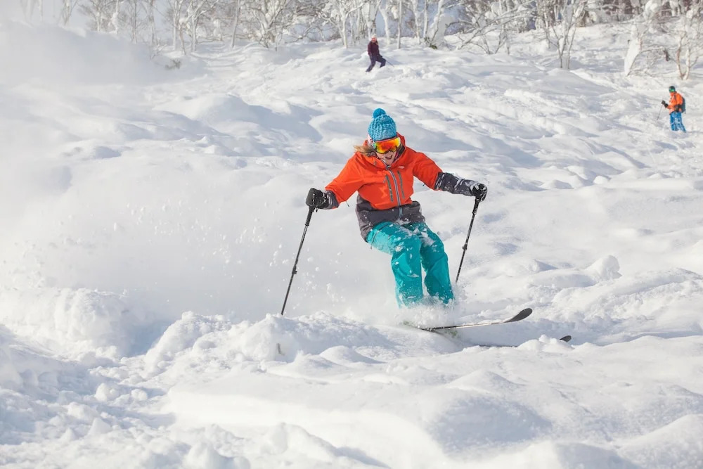Haven Niseko