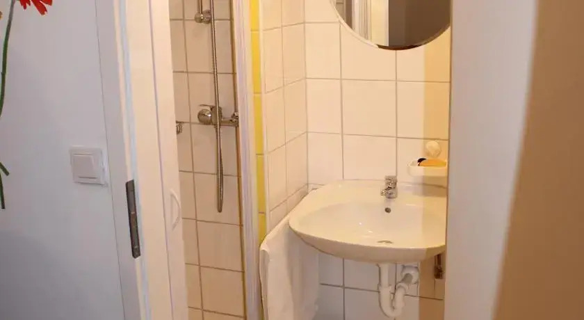 Zimmer Steger