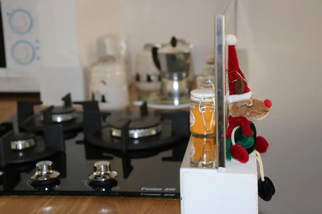 Il Cuore di Trastevere_Design Apartment