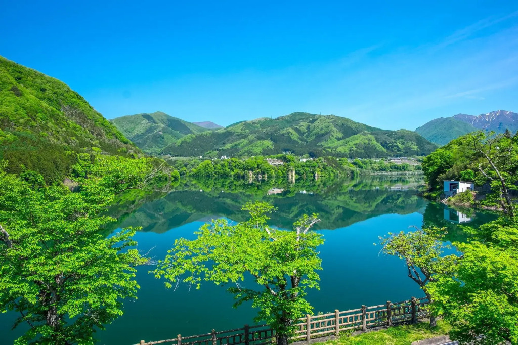 Forest Resort Sarugakyo Seikoso