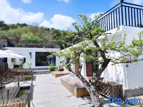 Beijing Ordinary and Extraordinary Homestay
