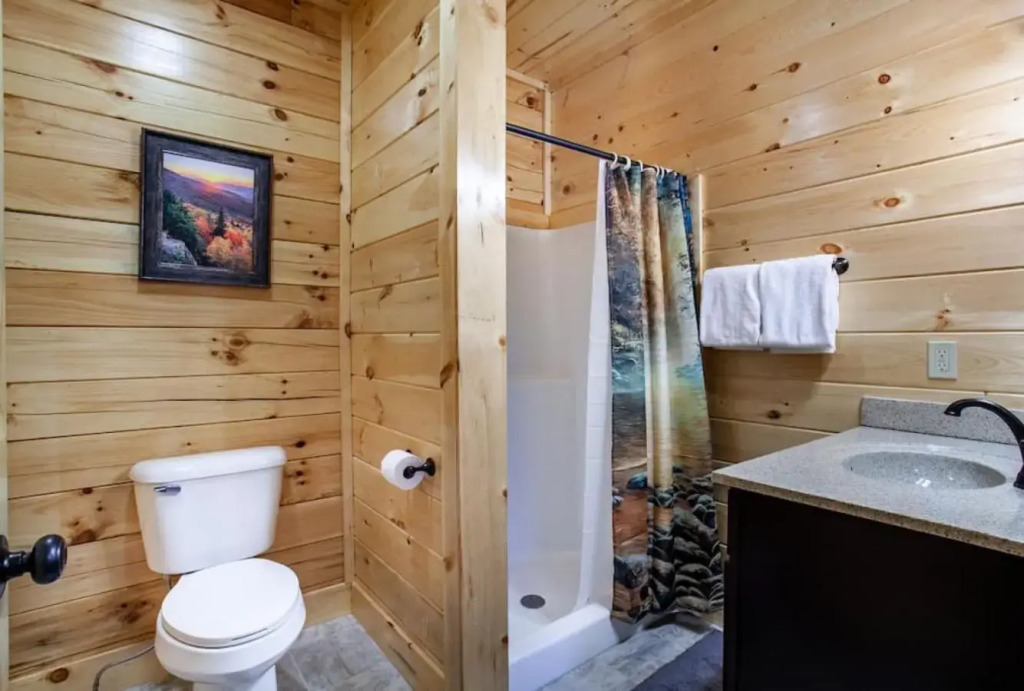 Swimming Bears Lodge Two Cabins with Pools and HotTubs